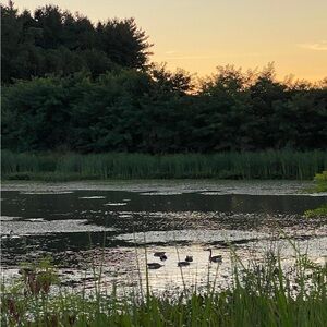 Meet your Posher, Jola